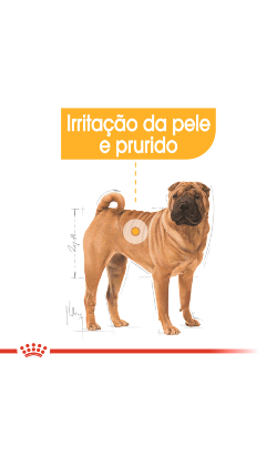 Royal Canin Medium Dermacomfort – imagem secundária 3