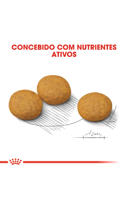 Royal Canin Medium Dermacomfort – imagem secundária 5