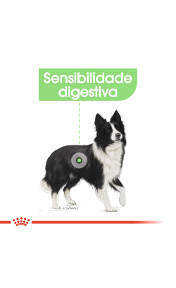 Royal Canin Medium Digestive Care – imagem secundária 3