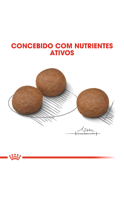 Royal Canin Medium Digestive Care – imagem secundária 5