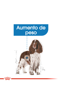 Royal Canin Medium Light Weight Care – imagem secundária 3