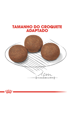Royal Canin Medium Puppy – imagem secundária 5