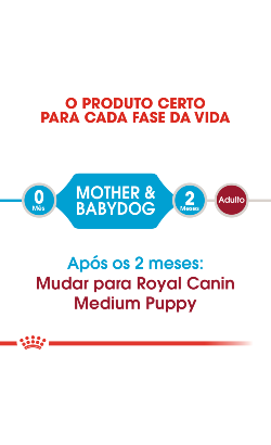 Royal Canin Medium Starter – imagem secundária 3