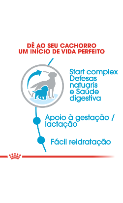 Royal Canin Medium Starter – imagem secundária 4
