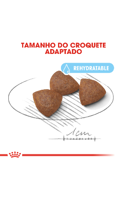 Royal Canin Medium Starter – imagem secundária 5