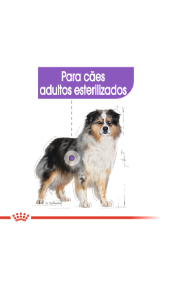 Royal Canin Medium Sterilised – imagem secundária 3