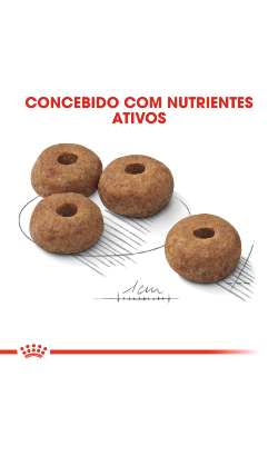 Royal Canin Medium Sterilised – imagem secundária 5