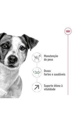 Royal Canin Mini Adult 8+ – imagem secundária 1