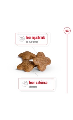Royal Canin Mini Adult 8+ – imagem secundária 2