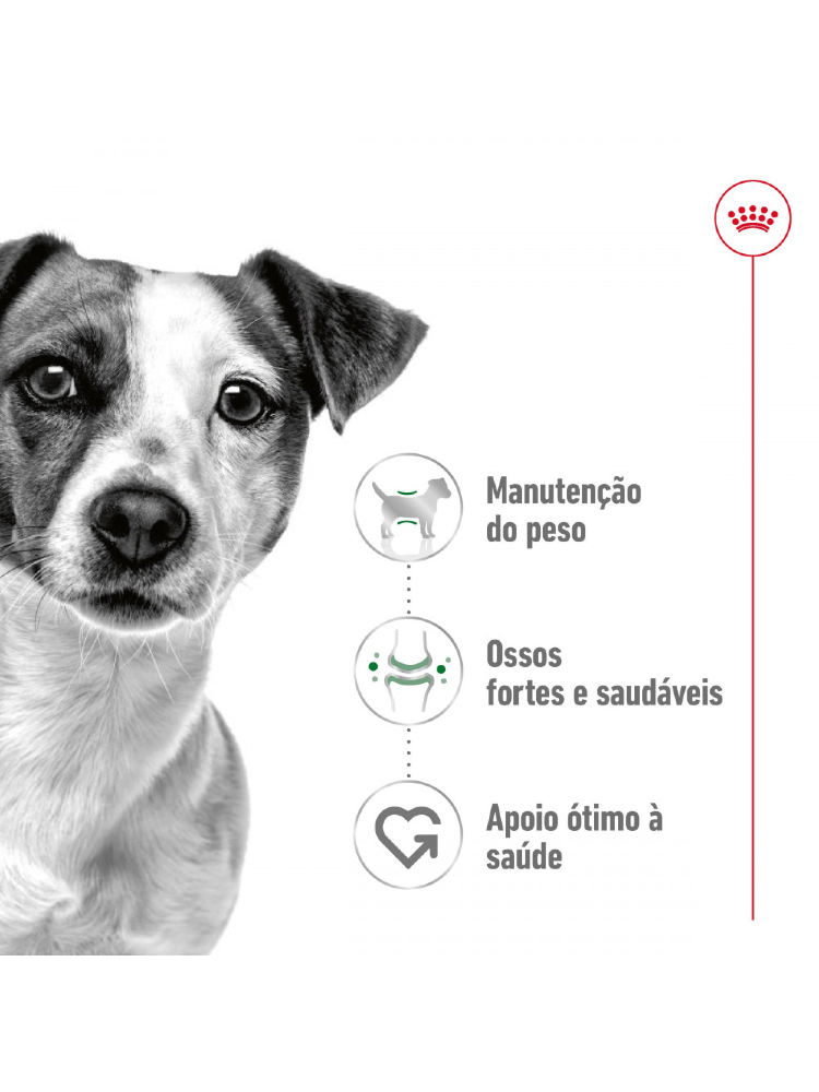 Royal Canin Mini Adult - Bónus – imagem secundária 1