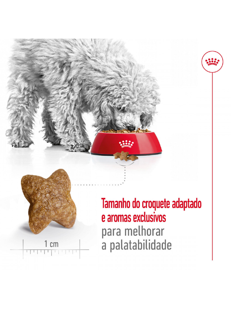 Royal Canin Mini Adult - Bónus – imagem secundária 3