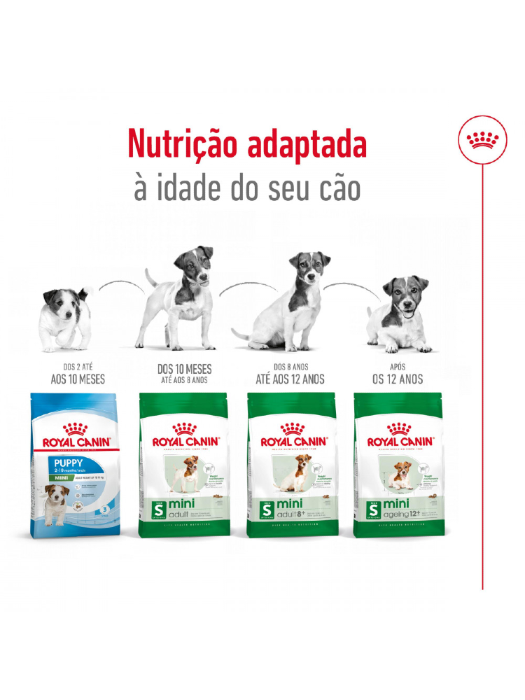 Royal Canin Mini Adult - Bónus – imagem secundária 4