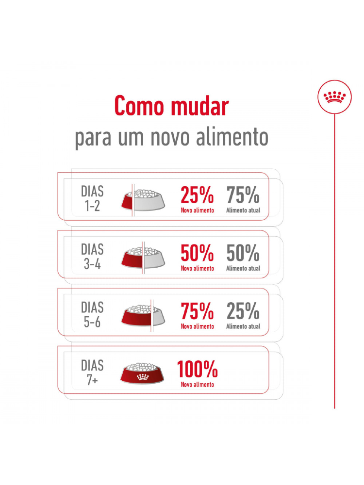 Royal Canin Mini Adult - Bónus – imagem secundária 8