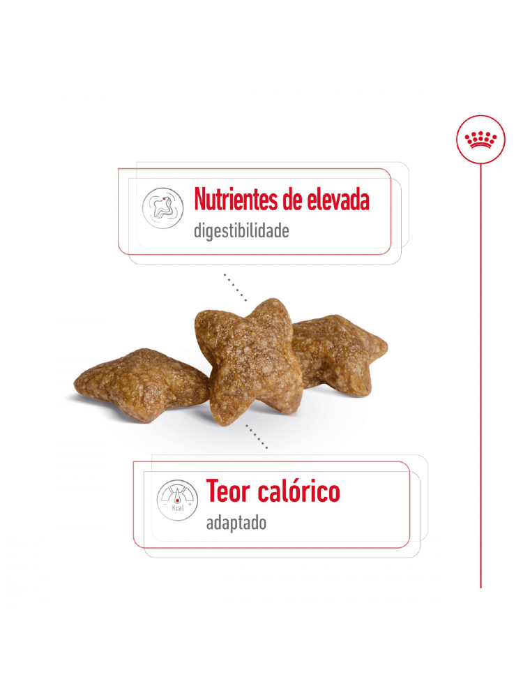 Royal Canin Mini Adult – imagem secundária 2