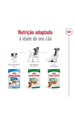 Royal Canin Mini Adult – imagem secundária 4