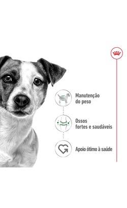 Royal Canin Mini Adult Loaf – imagem secundária 1