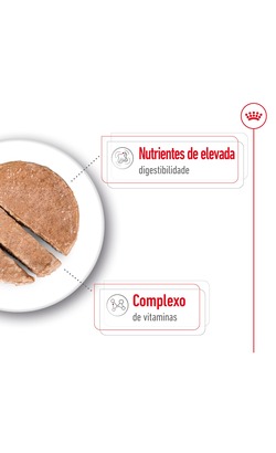 Royal Canin Mini Adult Loaf – imagem secundária 2