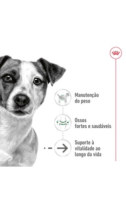 Royal Canin Mini Ageing 12+ – imagem secundária 1
