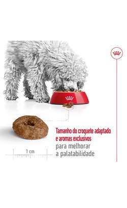Royal Canin Mini Ageing 12+ – imagem secundária 3