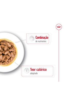 Royal Canin Mini Ageing 12+ – imagem secundária 3