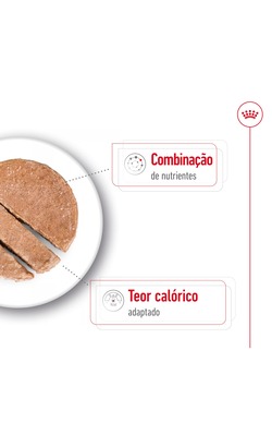 Royal Canin Mini Ageing 8+ Loaf – imagem secundária 2