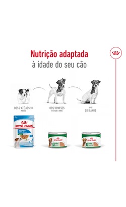 Royal Canin Mini Ageing 8+ Loaf – imagem secundária 3