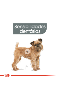 Royal Canin Mini Dental Care – imagem secundária 2