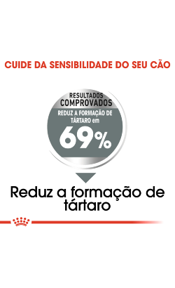 Royal Canin Mini Dental Care – imagem secundária 3