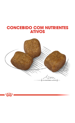 Royal Canin Mini Dental Care – imagem secundária 4