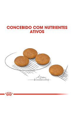 Royal Canin Mini Dermacomfort – imagem secundária 5