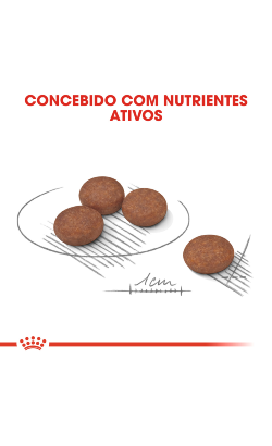 Royal Canin Mini Digestive Care – imagem secundária 5