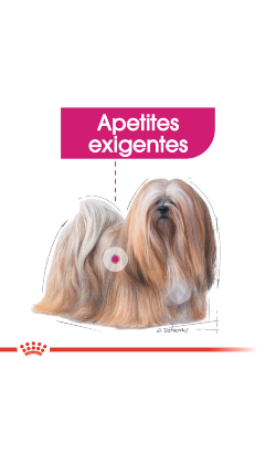 Royal Canin Mini Exigent – imagem secundária 3