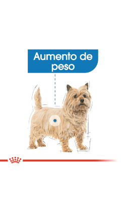Royal Canin Mini Light Weight Care – imagem secundária 3