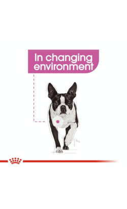 Royal Canin Mini Relax Care – imagem secundária 2