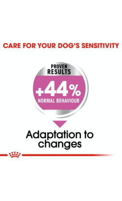 Royal Canin Mini Relax Care – imagem secundária 3
