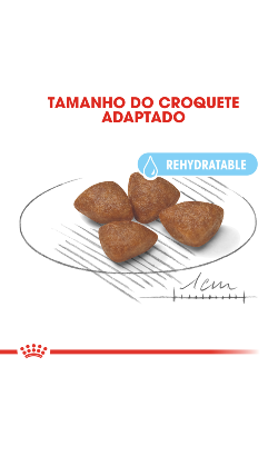 Royal Canin Mini Starter – imagem secundária 5