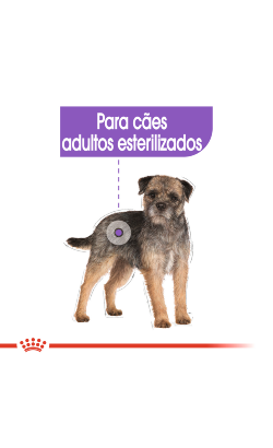 Royal Canin Mini Sterilised – imagem secundária 3