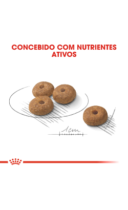 Royal Canin Mini Sterilised – imagem secundária 5