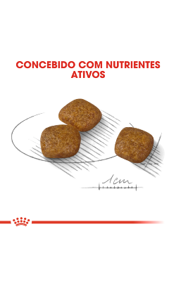 Royal Canin Mini Urinary Care – imagem secundária 4