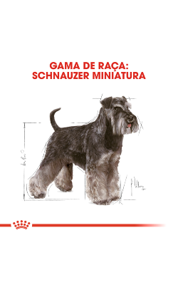 Royal Canin Miniature Schnauzer Adult – imagem secundária 3