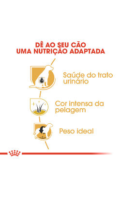 Royal Canin Miniature Schnauzer Adult – imagem secundária 4