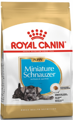 Royal Canin Miniature Schnauzer Puppy – imagem secundária 1