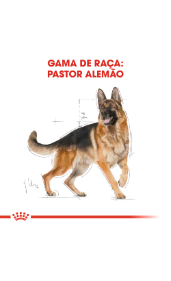 Royal Canin Pastor Alemão Adult – imagem secundária 3