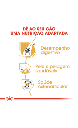 Royal Canin Pastor Alemão Adult – imagem secundária 4