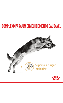 Royal Canin Pastor Alemão Ageing 5 + – imagem secundária 2