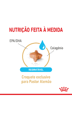 Royal Canin Pastor Alemão Ageing 5 + – imagem secundária 3
