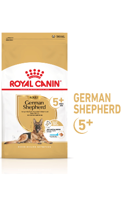 Royal Canin Pastor Alemão Ageing 5 + – imagem principal