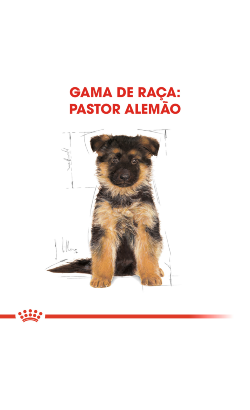 Royal Canin Pastor Alemão Puppy – imagem secundária 3