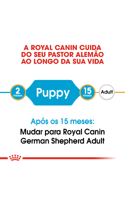 Royal Canin Pastor Alemão Puppy – imagem secundária 4