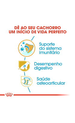 Royal Canin Pastor Alemão Puppy – imagem secundária 5
